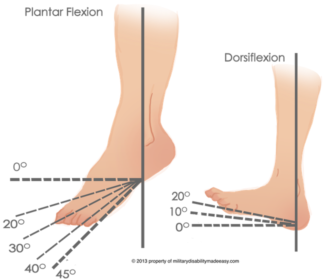 Dorsiflexion and Plantarflexion Example